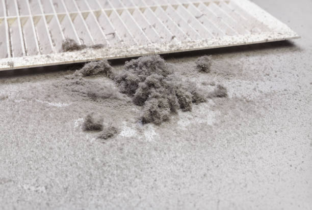 Best Emergency Air Duct Cleaning  in Sugar Creek, MO