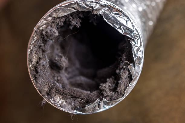 Best Dryer Vent Cleaning Services  in Sugar Creek, MO